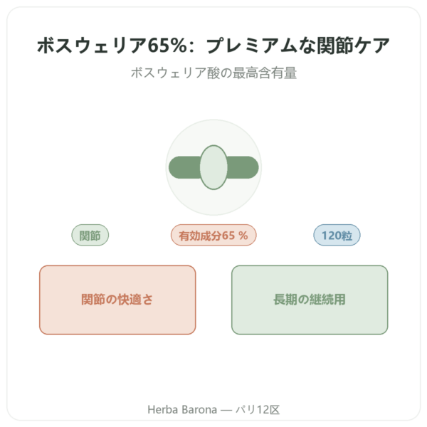 Boswellia Serrata 65% – Ayur-vana – 120カプセル presentation Paris Herba Barona