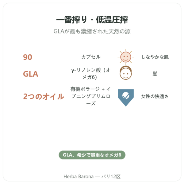 ボリジ・イブニングプリムローズ オーガニック – 90カプセル – Vecteur santé benefits and key facts Paris Herba Barona