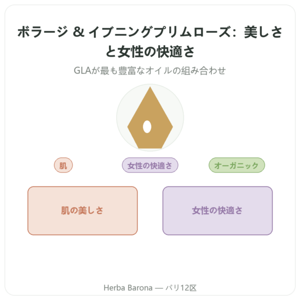 ボリジ・イブニングプリムローズ オーガニック – 90カプセル – Vecteur santé presentation Paris Herba Barona