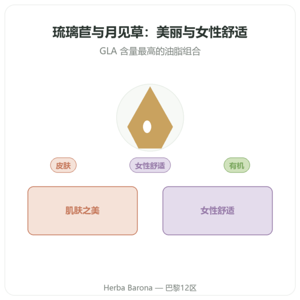 有机琉璃苣月见草油 – 90粒胶囊 – Vecteur Santé 产品展示 Paris Herba Barona