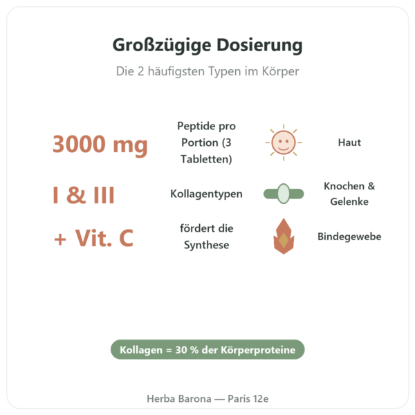 Bovines Kollagen in Tabletten Typ 1 und 3 – Doctor's Best Vorteile und Fakten Paris Herba Barona
