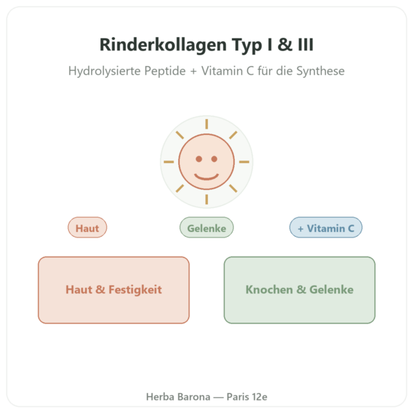 Bovines Kollagen in Tabletten Typ 1 und 3 – Doctor's Best Vorstellung Paris Herba Barona