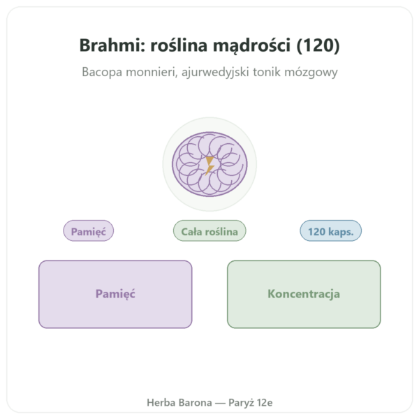 Brahmi (Bacopa Monnieri) – Ayur-vana – 120 kapsułek prezentacja Paris Herba Barona