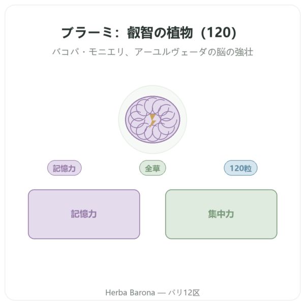 ブラーミー(バコパ・モニエリ) – Ayur-vana – 120カプセル presentation Paris Herba Barona
