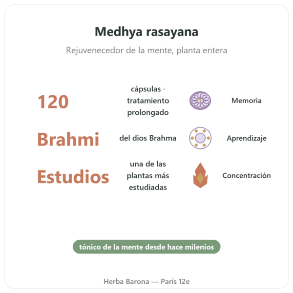 Brahmi (Bacopa Monnieri) – Ayur-vana – 120 Cápsulas beneficios y datos clave Paris Herba Barona