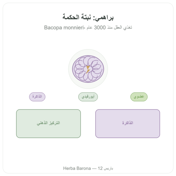 براهمي (باكوبا مونييري) مستخلص – Ayur-vana – 60 كبسولة عرض المنتج Paris Herba Barona
