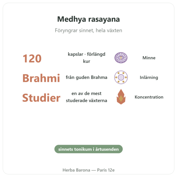 Brahmi (Bacopa Monnieri) – Ayur-vana – 120 kapslar fördelar och nyckelfakta Paris Herba Barona