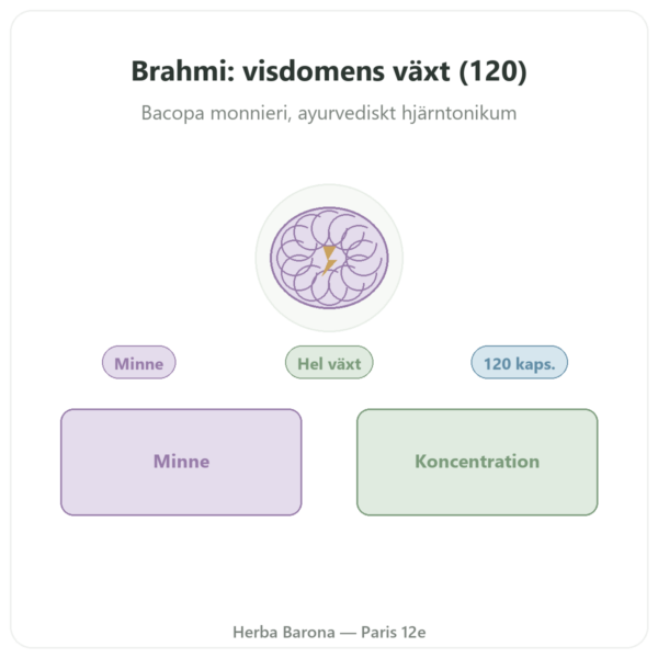 Brahmi (Bacopa Monnieri) – Ayur-vana – 120 kapslar presentation Paris Herba Barona