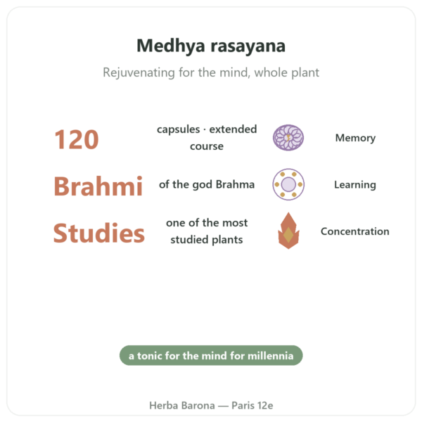 Brahmi (Bacopa Monnieri) - Ayur-vana - 120 capsules benefits and key facts Paris Herba Barona