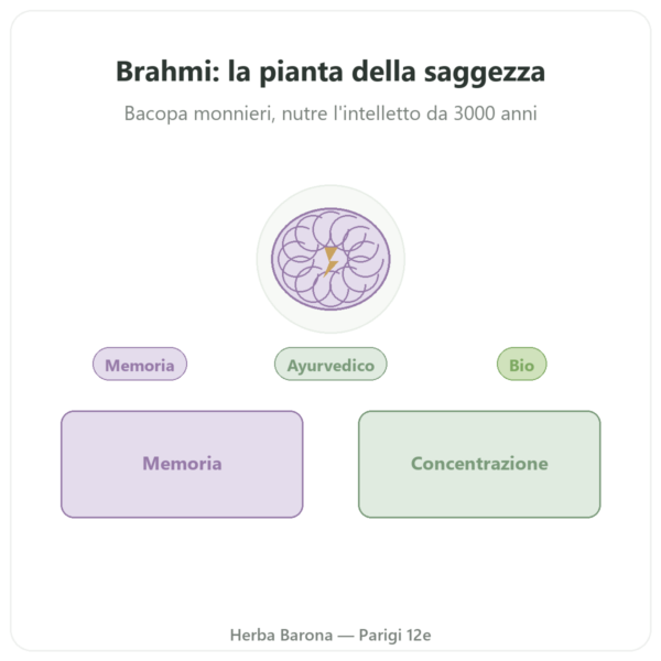 Brahmi (Bacopa Monnieri) Estratto – Ayur-vana – 60 capsule presentazione Paris Herba Barona