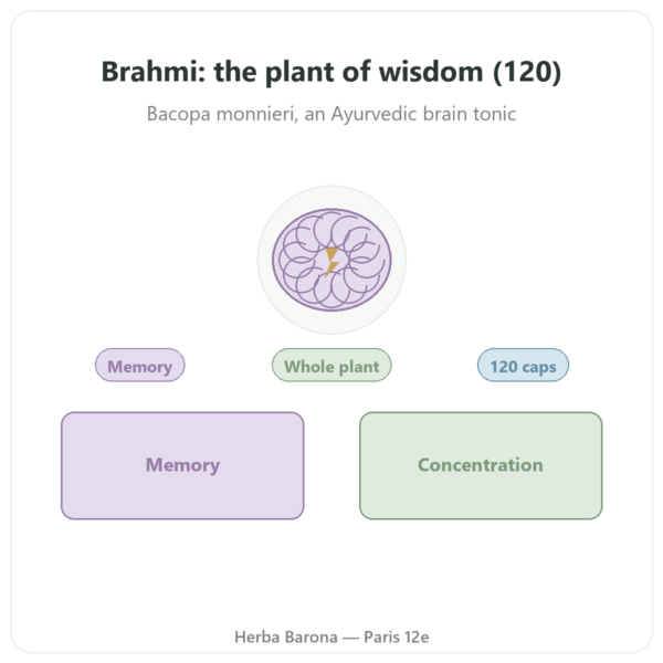 Brahmi (Bacopa Monnieri) - Ayur-vana - 120 capsules presentation Paris Herba Barona