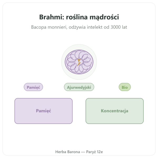 Brahmi (Bacopa Monnieri) Ekstrakt – Ayur-vana – 60 kapsułek prezentacja Paris Herba Barona