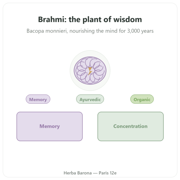 Brahmi (Bacopa Monnieri) Extract – Ayur-vana – 60 capsules presentation Paris Herba Barona