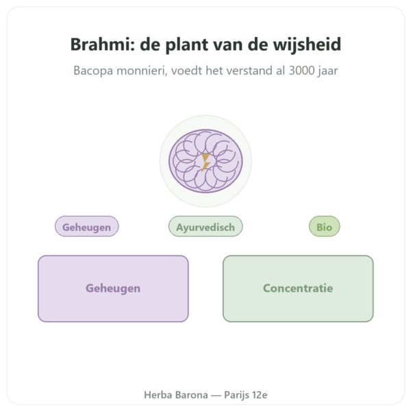 Brahmi (Bacopa Monnieri) Extract – Ayur-vana – 60 capsules presentatie Paris Herba Barona