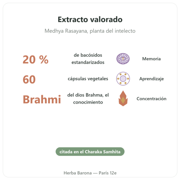 Brahmi (Bacopa Monnieri) Extracto – Ayur-vana – 60 Cápsulas beneficios y datos clave Paris Herba Barona
