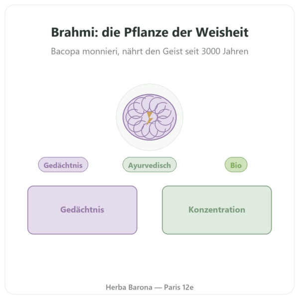 Brahmi (Bacopa Monnieri) Extrakt – Ayur-vana – 60 Kapseln Vorstellung Paris Herba Barona