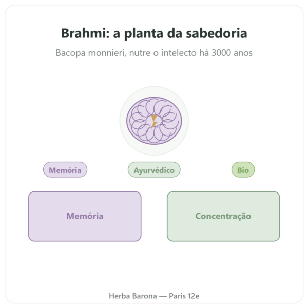 Brahmi (Bacopa Monnieri) Extrato – Ayur-vana – 60 cápsulas apresentação Paris Herba Barona