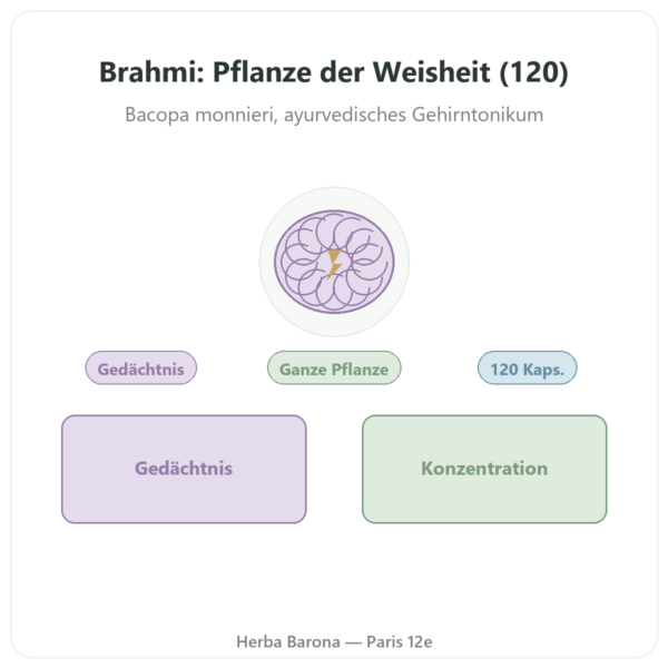 Brahmi (Bacopa Monnieri) – Ayur-vana – 120 Kapseln (Ganzpflanzenpulver) Vorstellung Paris Herba Barona