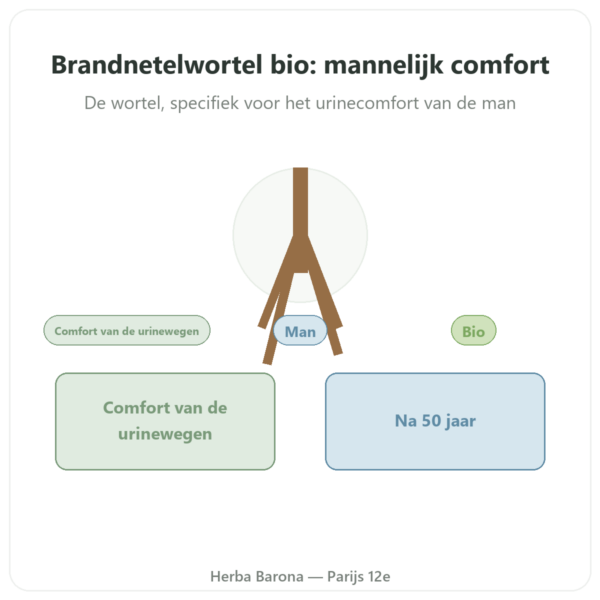 Brandnetelwortel Bio – Dynveo – Extract 4:1 – 60 capsules presentatie Paris Herba Barona