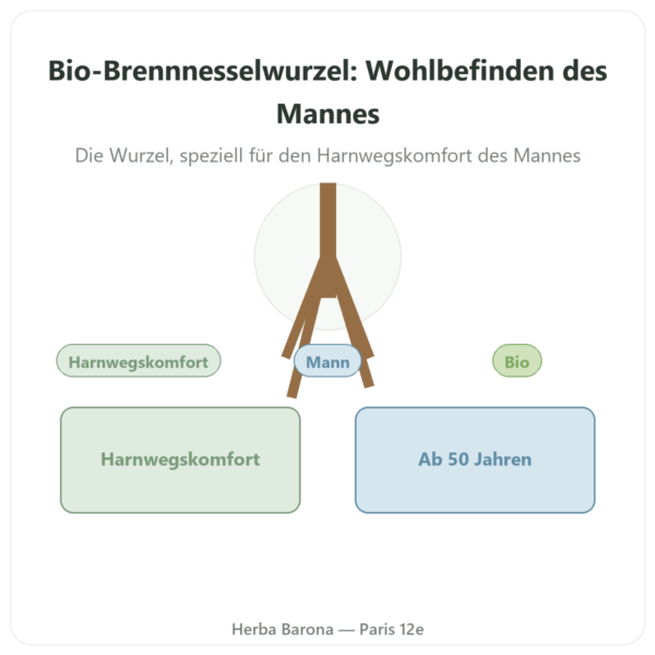Brennnesselwurzel-Extrakt Bio 4:1 – Dynveo – 60 Kapseln Vorstellung Paris Herba Barona