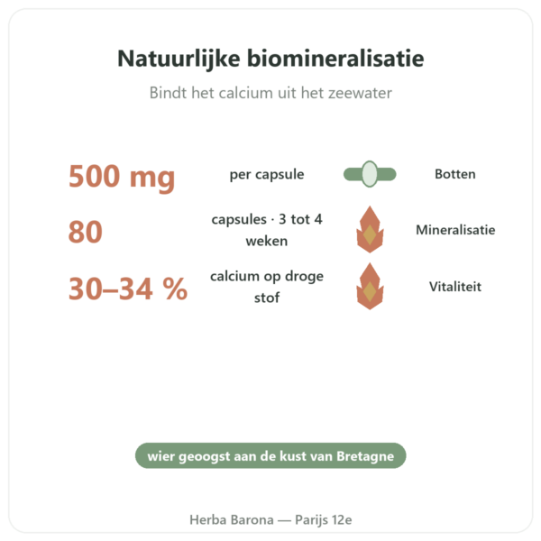 Bretoens Lithothamnium 500 mg – 80 capsules – Vecteur Santé voordelen en kerngegevens Paris Herba Barona