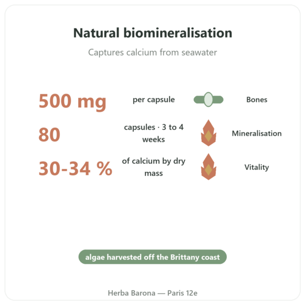 Breton Lithothamnium (Red Algae) 500mg – 80 Capsules – Vecteur Santé benefits and key facts Paris Herba Barona