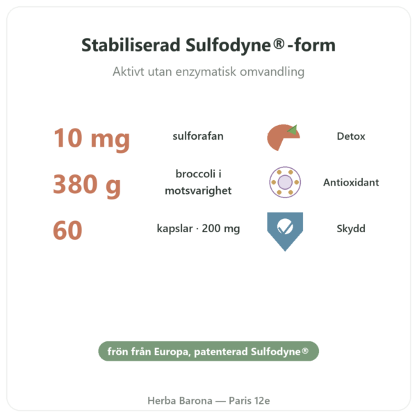 Sulforafan – Broccoliextrakt – Dynveo – 200 mg fördelar och nyckelfakta Paris Herba Barona