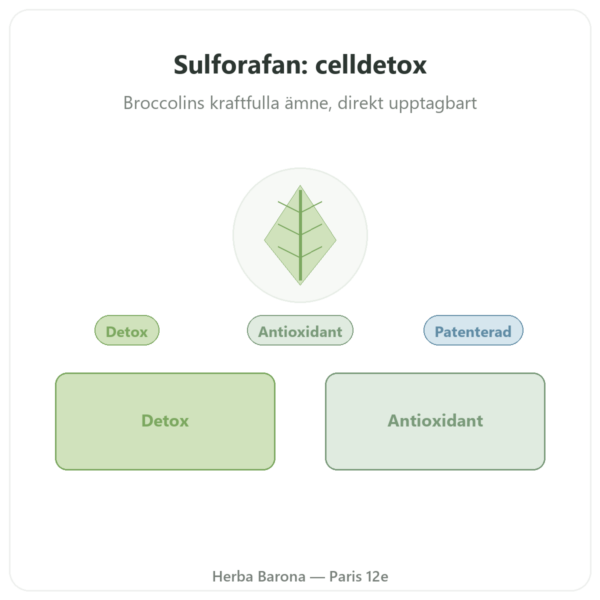 Sulforafan – Broccoliextrakt – Dynveo – 200 mg presentation Paris Herba Barona
