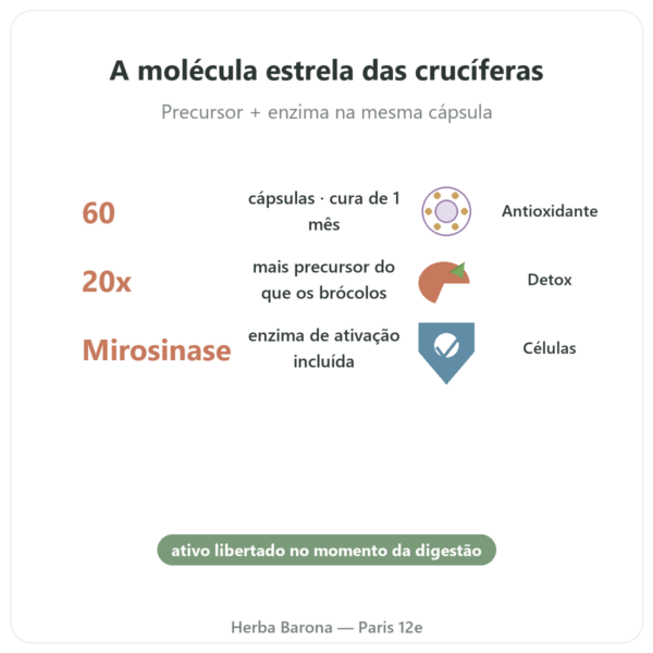 Broccomax Sulforafano Extrato de Brócolos – Jarrow Formulas – 60 cápsulas benefícios e dados principais Paris Herba Barona