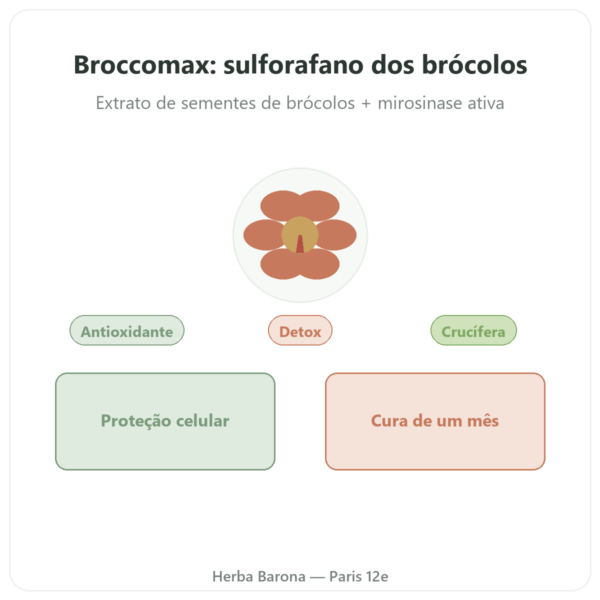 Broccomax Sulforafano Extrato de Brócolos – Jarrow Formulas – 60 cápsulas apresentação Paris Herba Barona