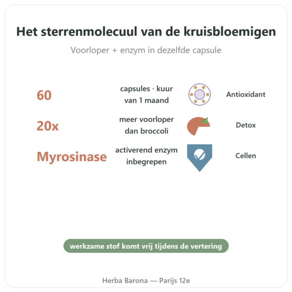 Broccomax Sulforafaan Broccoli-extract Jarrow Formulas – 60 capsules voordelen en kerngegevens Paris Herba Barona