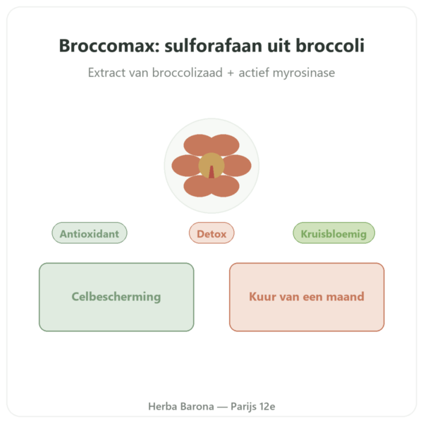 Broccomax Sulforafaan Broccoli-extract Jarrow Formulas – 60 capsules presentatie Paris Herba Barona