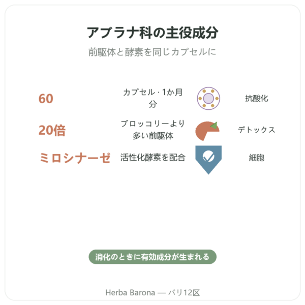 Broccomax スルフォラファン ブロッコリー種子エキス Jarrow Formulas – 60カプセル benefits and key facts Paris Herba Barona