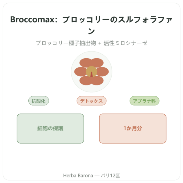 Broccomax スルフォラファン ブロッコリー種子エキス Jarrow Formulas – 60カプセル presentation Paris Herba Barona