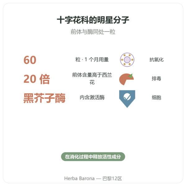 Broccomax 萝卜硫素 西兰花提取物 Jarrow Formulas – 60粒胶囊 功效与数据 Paris Herba Barona