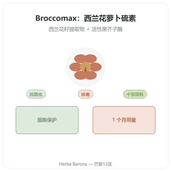 Broccomax 萝卜硫素 西兰花提取物 Jarrow Formulas – 60粒胶囊 产品展示 Paris Herba Barona