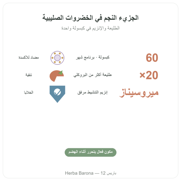 بروكوماكس سولفورافان مستخلص بروكلي – Jarrow Formulas – 60 كبسولة الفوائد والمعطيات الرئيسية Paris Herba Barona