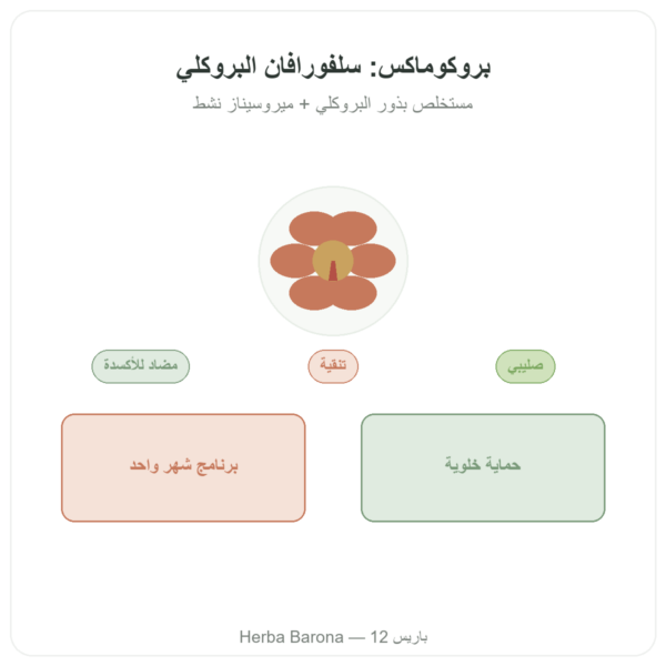 بروكوماكس سولفورافان مستخلص بروكلي – Jarrow Formulas – 60 كبسولة عرض المنتج Paris Herba Barona