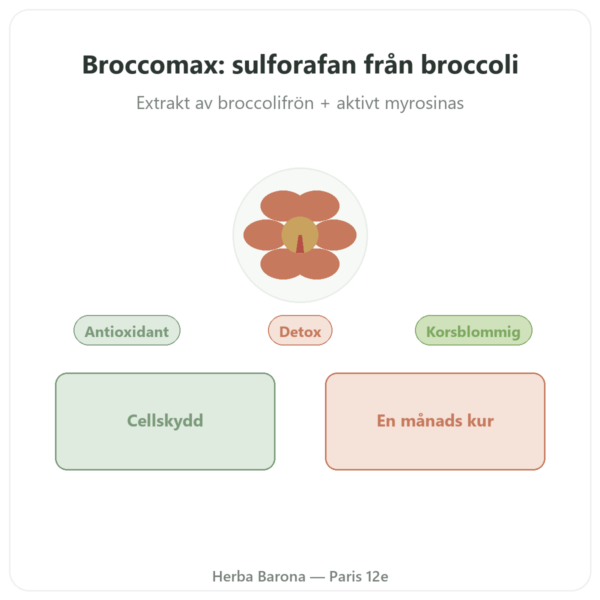 Broccomax Sulforafan Broccoliextrakt Jarrow Formulas – 60 kapslar presentation Paris Herba Barona