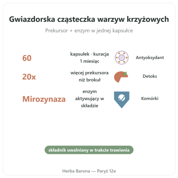 Broccomax Sulforafan Ekstrakt z Brokuła Jarrow – 60 kaps. korzyści i najważniejsze fakty Paris Herba Barona