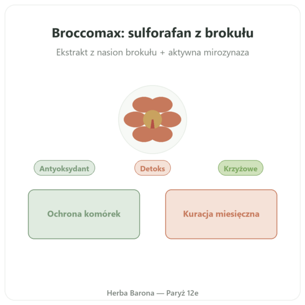 Broccomax Sulforafan Ekstrakt z Brokuła Jarrow – 60 kaps. prezentacja Paris Herba Barona