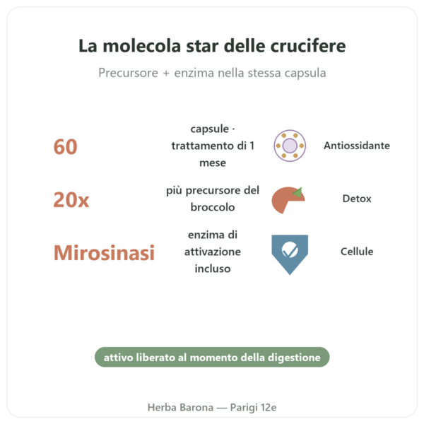Broccomax Sulforafano – Estratto di Broccoli – Jarrow Formulas – 60 Capsule benefici e dati chiave Paris Herba Barona