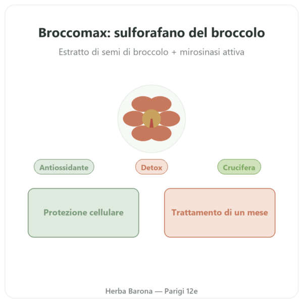 Broccomax Sulforafano – Estratto di Broccoli – Jarrow Formulas – 60 Capsule presentazione Paris Herba Barona