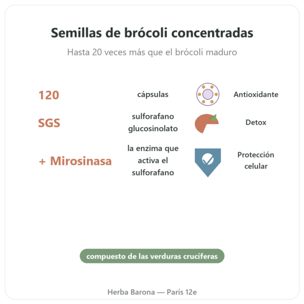 BroccoMax Sulforafano – Extracto de Brócoli – Jarrow Formulas – 120 Cápsulas beneficios y datos clave Paris Herba Barona
