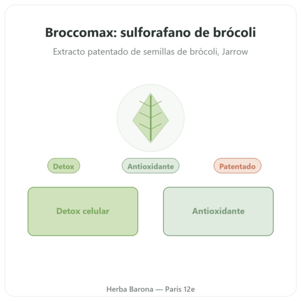 BroccoMax Sulforafano – Extracto de Brócoli – Jarrow Formulas – 120 Cápsulas presentación Paris Herba Barona