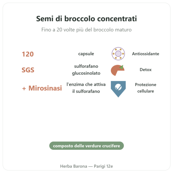 Broccomax Sulforafano Estratto Broccoli Jarrow Formulas – 120 capsule benefici e dati chiave Paris Herba Barona