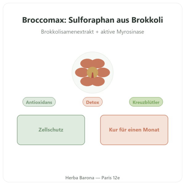 BroccoMax Sulforaphan – Jarrow Formulas – 60 Kapseln Vorstellung Paris Herba Barona