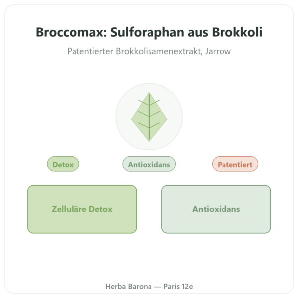 BroccoMax Sulforaphan Brokkoli-Extrakt – Jarrow Formulas – 120 Kapseln Vorstellung Paris Herba Barona