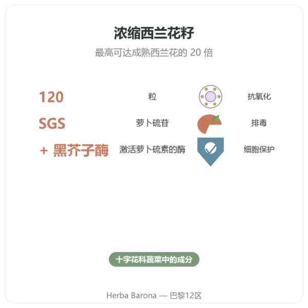 Broccomax 萝卜硫素 西兰花提取物 Jarrow Formulas – 120 粒胶囊 功效与数据 Paris Herba Barona