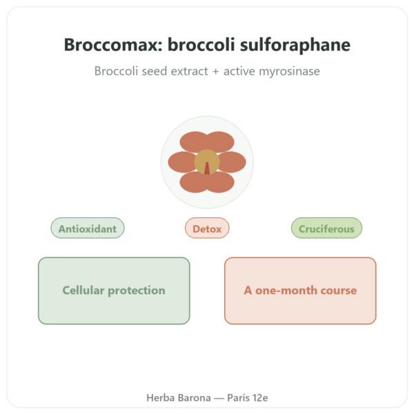 Broccomax Sulforaphane Broccoli Extract – Jarrow Formulas – 60 Capsules presentation Paris Herba Barona